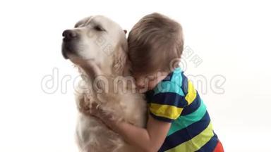 对宠物的关心和<strong>爱护</strong>.. 小男孩在画室的白色背景上摆着一只金色猎犬